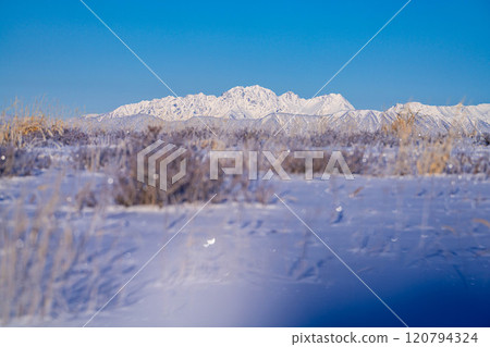 [Winter mountain materials] Snow-capped Northern Alps seen from Kirigamine in winter [Nagano Prefecture] 120794324
