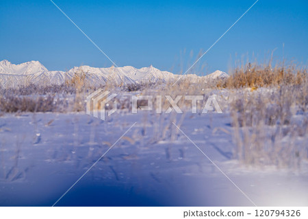 [Winter mountain materials] Snow-capped Northern Alps seen from Kirigamine in winter [Nagano Prefecture] 120794326