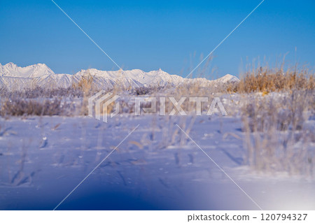 [Winter mountain materials] Snow-capped Northern Alps seen from Kirigamine in winter [Nagano Prefecture] 120794327