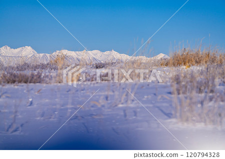 [Winter mountain materials] Snow-capped Northern Alps seen from Kirigamine in winter [Nagano Prefecture] 120794328