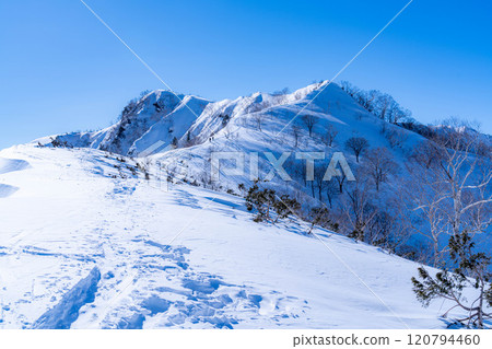 [Snowy mountain material] Landscape seen from Mt. Kotomi in winter [Nagano Prefecture] 120794460