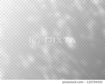 Shadow effect on transparent background vector overlay effect, sunbeams reflection, foliage natural lighting mockup 120794493