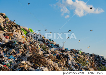 A large heap of garbage overflowing with plastic waste and debris sits in an urban setting, while birds circle above against a bright blue sky, emphasizing ecological concerns A large heap of garbage overflowing with plastic waste and debris sits in an urban setting, while birds circle above against a bright blue sky, emphasizing ecological concerns 120794572