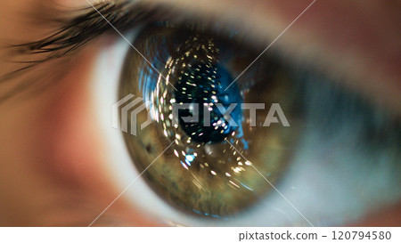 Looking The Christmas Tree. Eye Macro Shoot 120794580