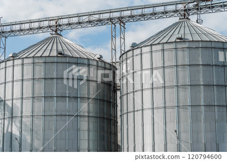 These contemporary grain silos stand tall at a rural farm, demonstrating agricultural innovation and effective storage solutions for crops under clear skies These contemporary grain silos stand tall at a rural farm, demonstrating agricultural innovation and effective storage solutions for crops under clear skies 120794600