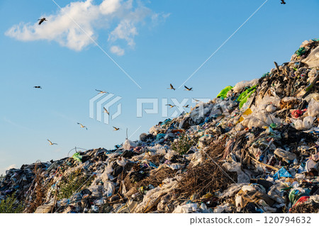 A large mound of trash dominates the landscape, with various types of garbage visible. Birds soar overhead against the clear blue sky, adding life to the bleak surroundings 120794632