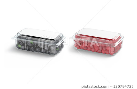 Blank transparent plastic box with raspberry and blackberry mockup Blank transparent plastic box with raspberry and blackberry mockup 120794725
