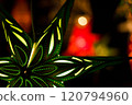 german christmas market scenery 120794960