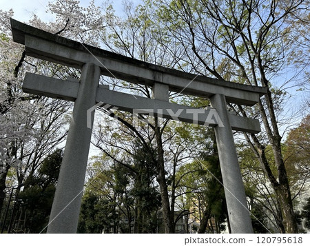 這是位於東京都府中市的大國魂神社正門的大鳥居。 120795618