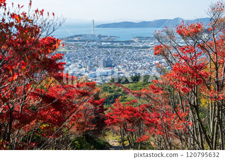 Beautiful autumn scenery of Mount Otakadai in Ako, Hyogo Prefecture, Japan Beautiful autumn scenery of Mount Otakadai in Ako, Hyogo Prefecture, Japan 120795632