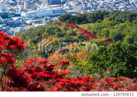 Beautiful autumn scenery of Mount Otakadai in Ako, Hyogo Prefecture, Japan 120795633