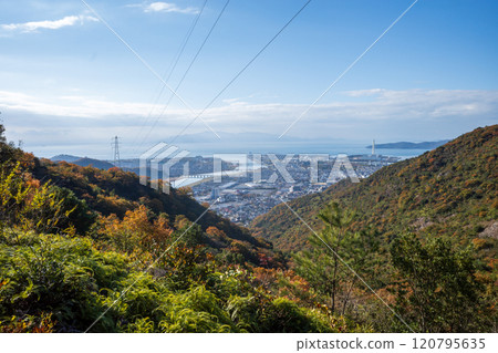 Beautiful autumn scenery of Mount Otakadai in Ako, Hyogo Prefecture, Japan Beautiful autumn scenery of Mount Otakadai in Ako, Hyogo Prefecture, Japan 120795635