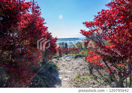 Beautiful autumn scenery of Mount Otakadai in Ako, Hyogo Prefecture, Japan Beautiful autumn scenery of Mount Otakadai in Ako, Hyogo Prefecture, Japan 120795642