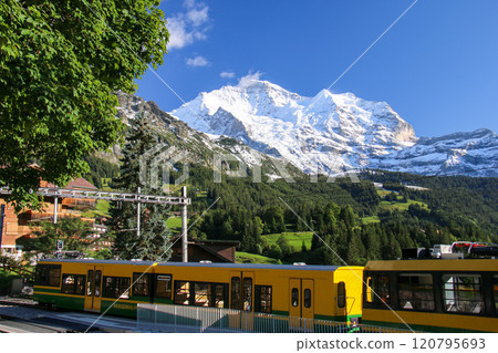 從瑞士格林德爾瓦爾德翁根仰望少女峰 120795693