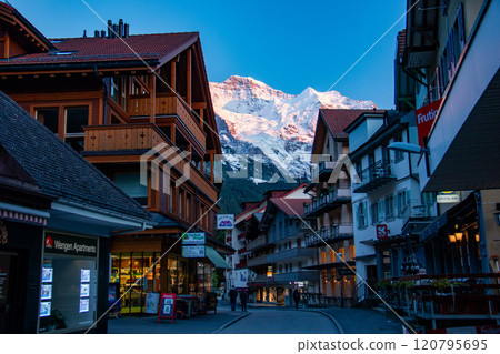 Looking up at the Jungfrau in the morning glow from Wengen, Grindelwald, Switzerland 120795695