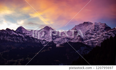 Looking up at the Jungfrau in the morning glow from Murren, Grindelwald, Switzerland Looking up at the Jungfrau in the morning glow from Murren, Grindelwald, Switzerland 120795697