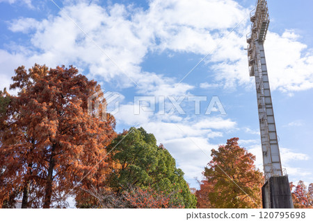 Beautiful autumn scenery at the prefectural baseball stadium in Okayama city, Okayama prefecture, Japan Beautiful autumn scenery at the prefectural baseball stadium in Okayama city, Okayama prefecture, Japan 120795698