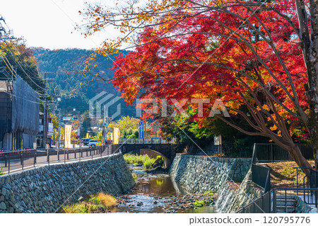 Keio Line Takaosanguchi Station in autumn 120795776