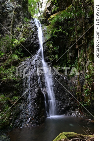 Niten Falls 120795971