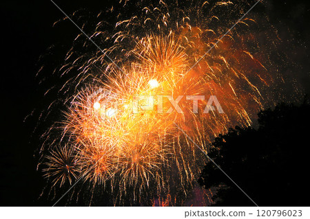 Fireworks at the 2024 Tatara Festival in Kawaguchi, Saitama Prefecture 120796023