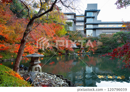 Autumn leaves at Happo-en Garden, Shirokanedai, Minato-ku, Tokyo (TOKYO RED GARDEN) Autumn leaves at Happo-en Garden, Shirokanedai, Minato-ku, Tokyo (TOKYO RED GARDEN) 120796039