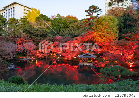 Autumn leaves at Happo-en Garden, Shirokanedai, Minato-ku, Tokyo (TOKYO RED GARDEN) 120796042