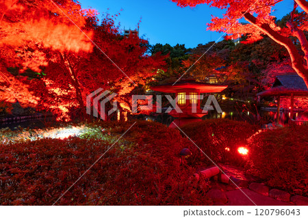 Autumn leaves at Happo-en Garden, Shirokanedai, Minato-ku, Tokyo (TOKYO RED GARDEN) 120796043