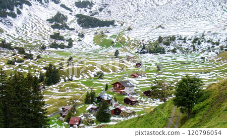 Trekking scenery of Ammelthubel, Murren, Lauterbrunnen, Switzerland 120796054