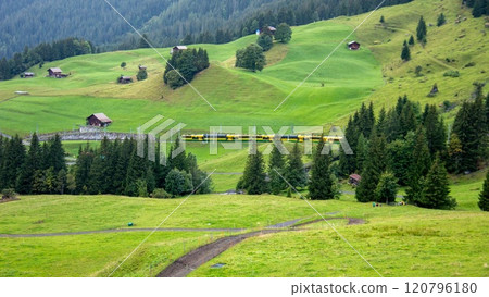 View of the trek from Kleine Scheidegg to Wengen, Wengen, Grindelwald, Switzerland View of the trek from Kleine Scheidegg to Wengen, Wengen, Grindelwald, Switzerland 120796180