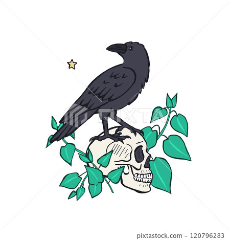 Hand drawn inky sketch style raven or crow sitting on human skull isolated on white background Hand drawn inky sketch style raven or crow sitting on human skull isolated on white background 120796283
