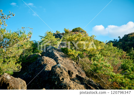 高丸山登山道 高丸山登山道 120796347