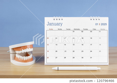 January monthly desk calendar for 2025 year and model dentures on the table. 120796466