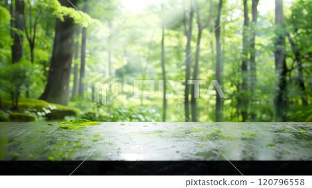 Landscape of mossy mountain stream 120796558