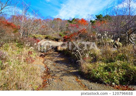 深秋的赤城小沼湖畔秋葉景色 深秋的赤城小沼湖畔秋葉景色 120796688