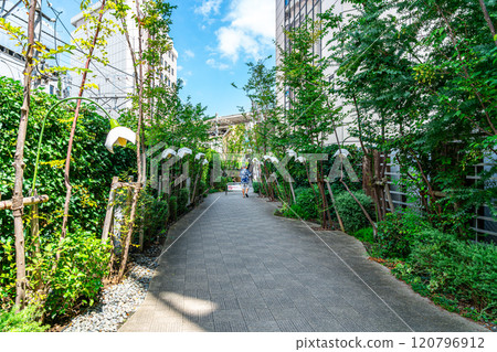 [東京] 綠樹環繞的自由之丘街道 120796912