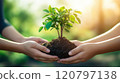 Two people holding a small plant in their hands 120797138