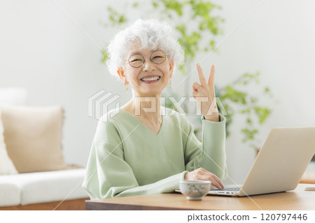 操作計算機的一位資深婦女 120797446