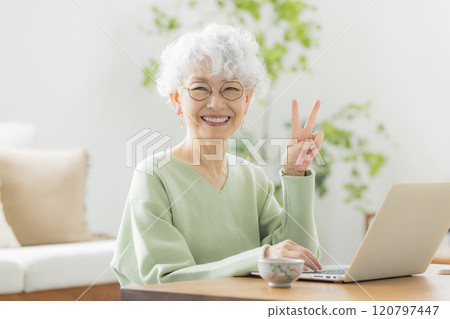 A senior woman operating a computer 120797447