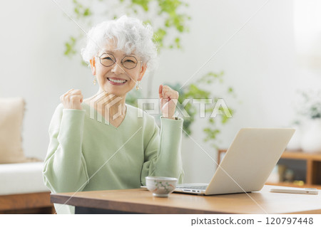 A senior woman operating a computer A senior woman operating a computer 120797448
