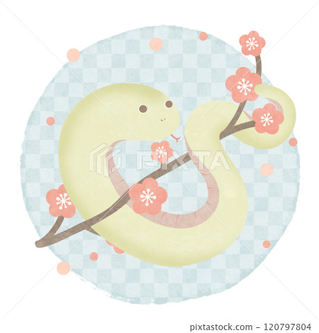 Plum, snake, blue, Japanese pattern, checkered Plum, snake, blue, Japanese pattern, checkered 120797804