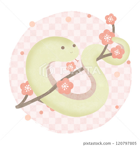 梅花蛇粉紅日式格紋圖案 梅花蛇粉紅日式格紋圖案 120797805