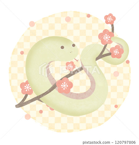 梅花蛇黃日式格子圖案 120797806