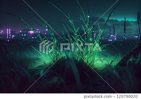 Grass Background with Night Vision 120798020