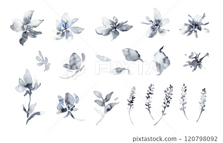 Watercolor painting. A vector illustration of monochrome plants and flowers with a watercolor touch. A luxurious monochrome plant illustration. 120798092