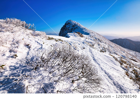 白雪皚皚的谷川山脈的谷川岳 120798140