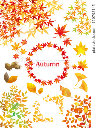 Set of autumn leaves images 120798145