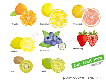 Fruit watercolor set illustration 120798146