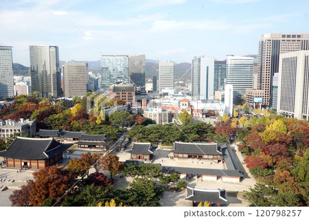 autumn, palace, cityscape 120798257