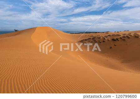 Scenery of the Red Sand Dunes located at Mui Ne in Vietnam 120799600