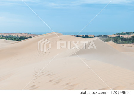 Scenery of the White Sand Dunes located at Mui Ne in Vietnam 120799601